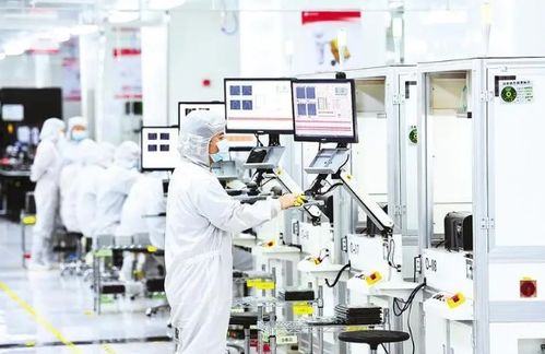 品牌数据处理的战略价值与实施路径